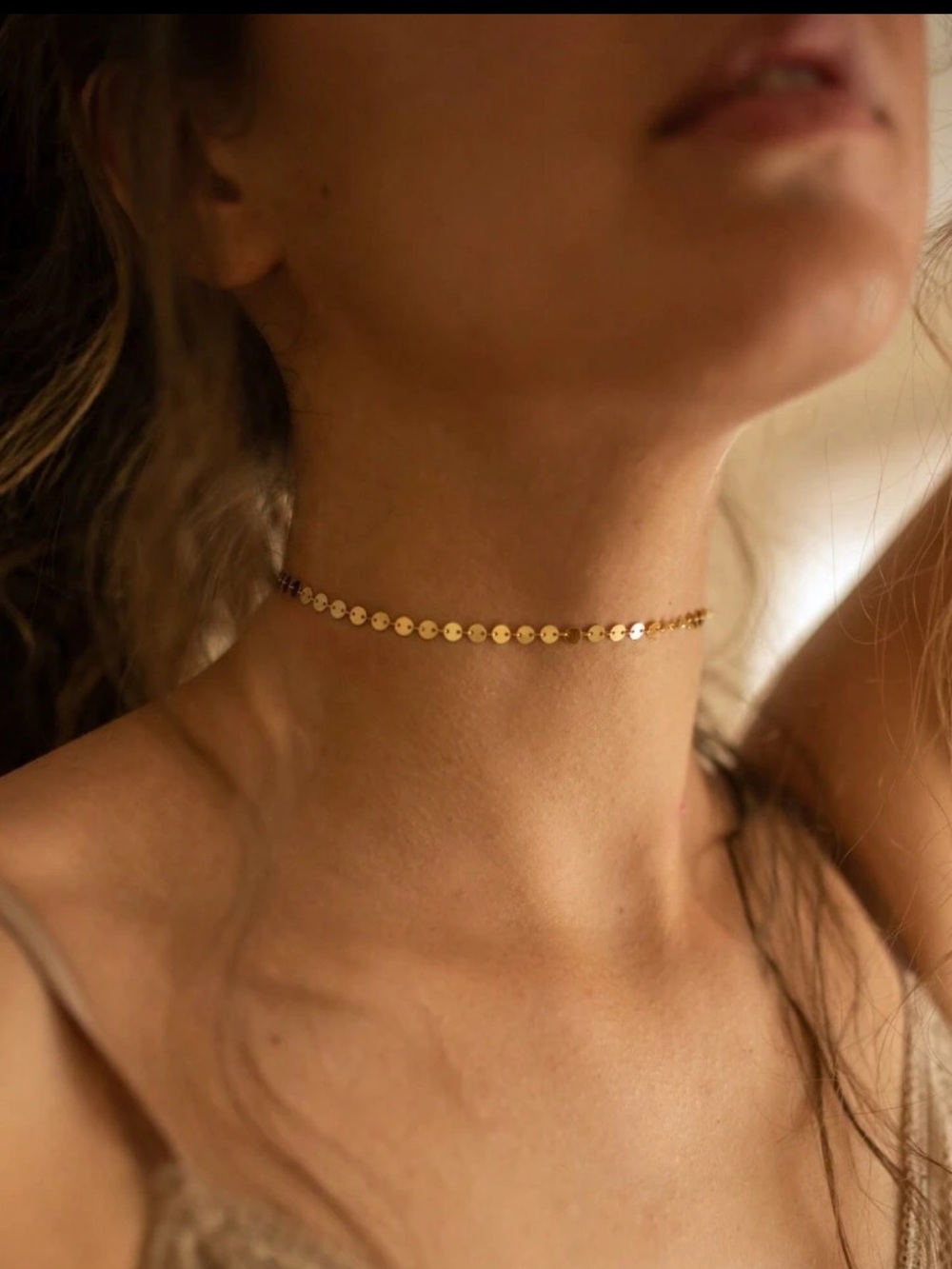 Delicate choker necklace